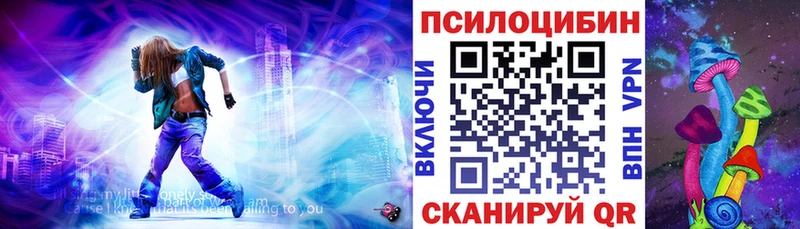 Псилоцибиновые грибы MAGIC MUSHROOMS  где найти   Саяногорск 